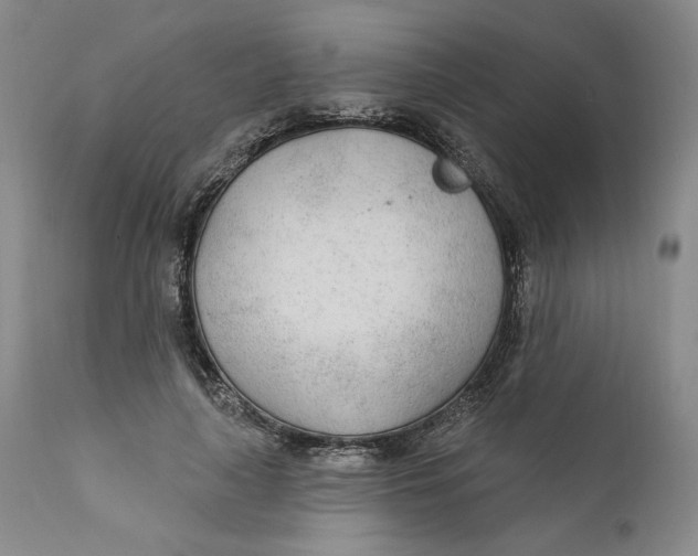 X0000110920643200907091458