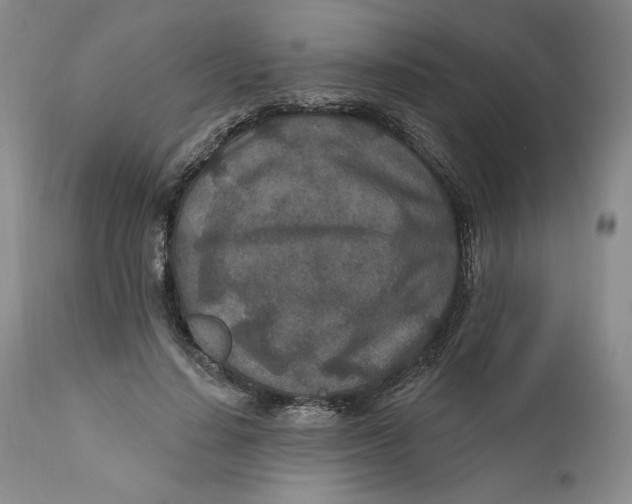 X0000110920644200907091458