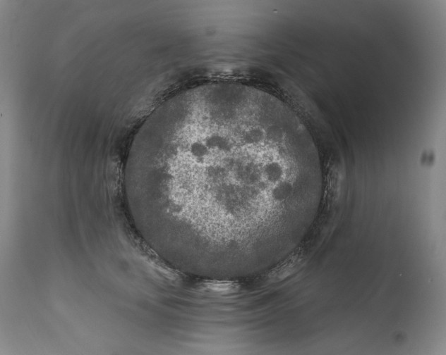 X0000110920659200907091458