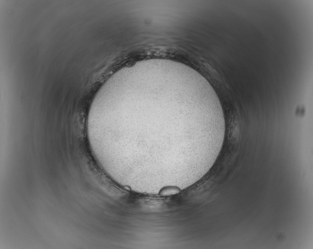 X0000110920661200907091459