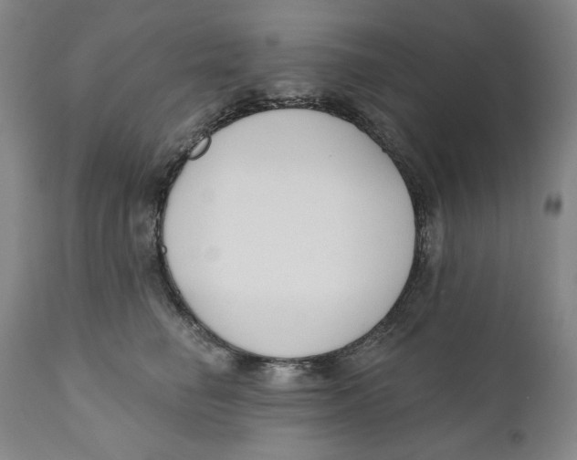 X0000110920662200907091459
