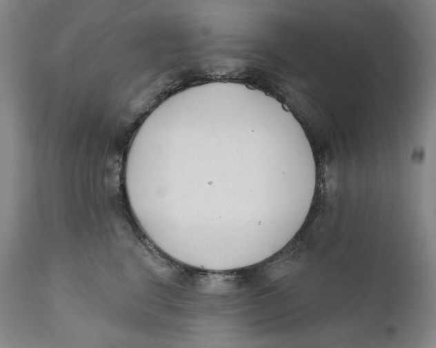 X0000110920664200907091459