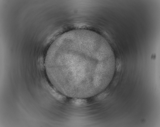 X0000110920670200907091459
