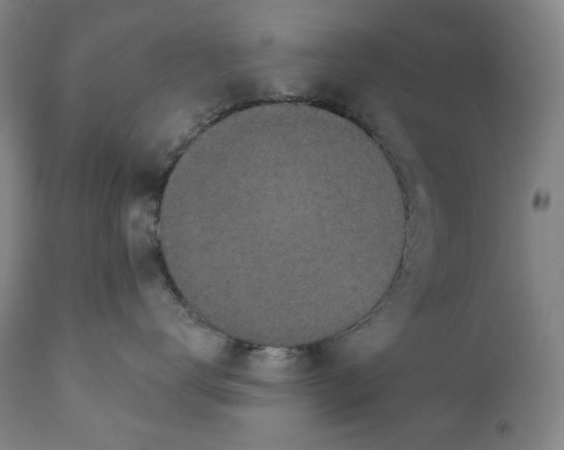 X0000110920672200907091459