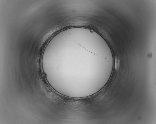 X0000110920675200907091458