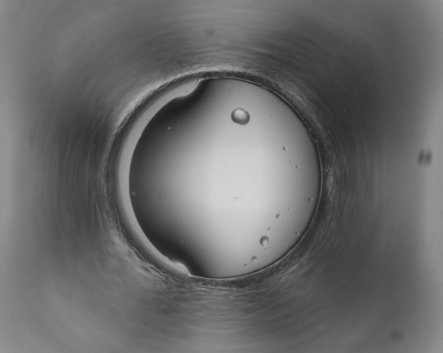 X0000110920676200907091458