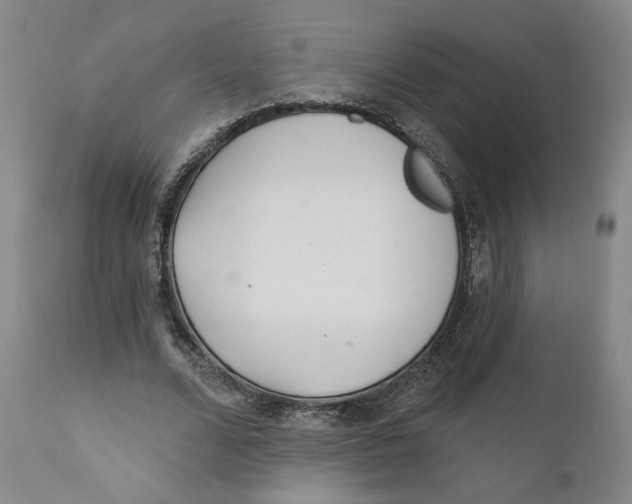 X0000110920680200907091458