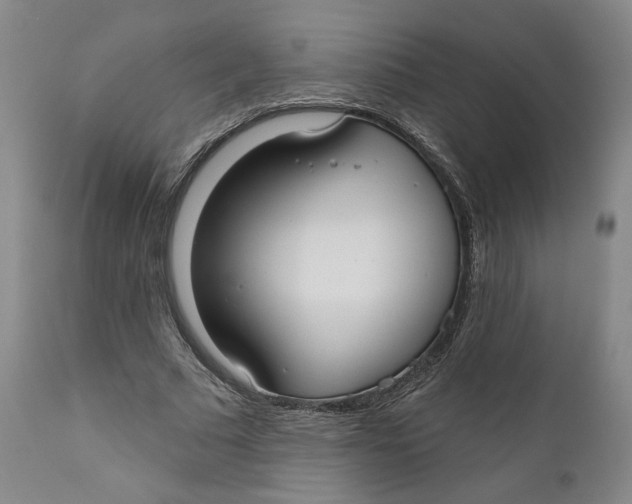 X0000110920681200907091458