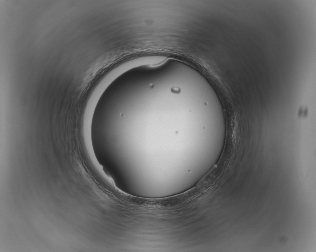 X0000110920685200907091458