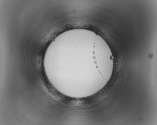 X0000110920695200907091457