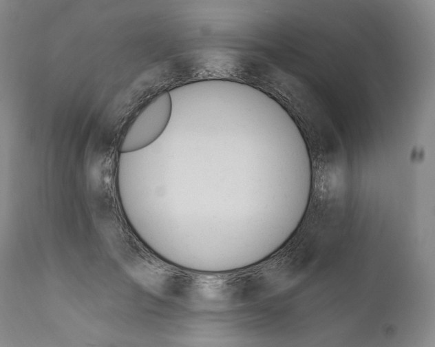 X0000110920701200907091457