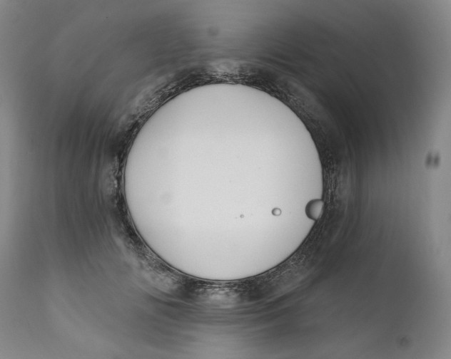 X0000110920702200907091457