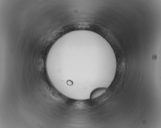 X0000110920704200907091457