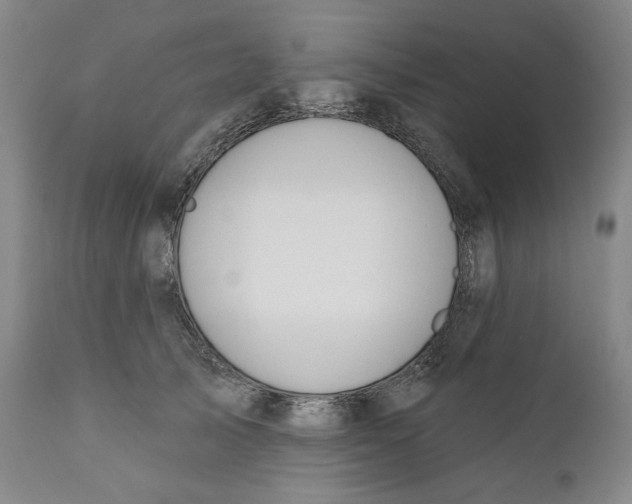 X0000110920705200907091457