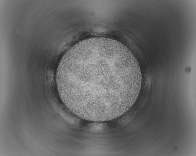 X0000110920711200907091457