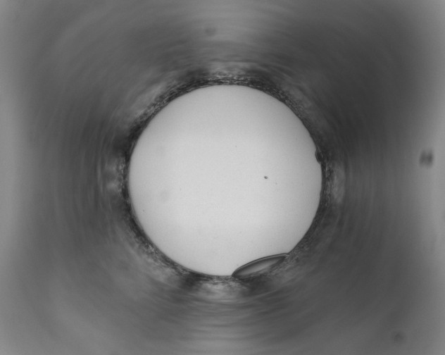 X0000110920712200907091457