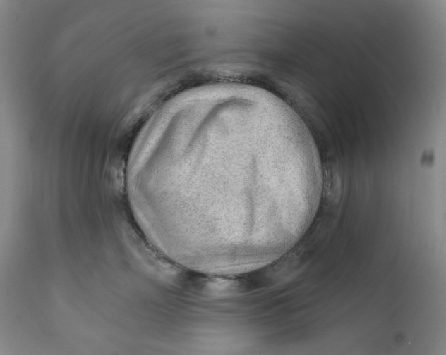 X0000110920718200907091457