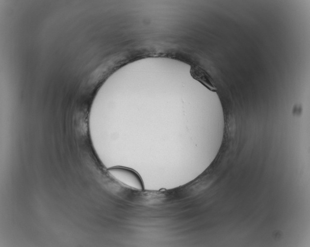 X0000110920719200907091457