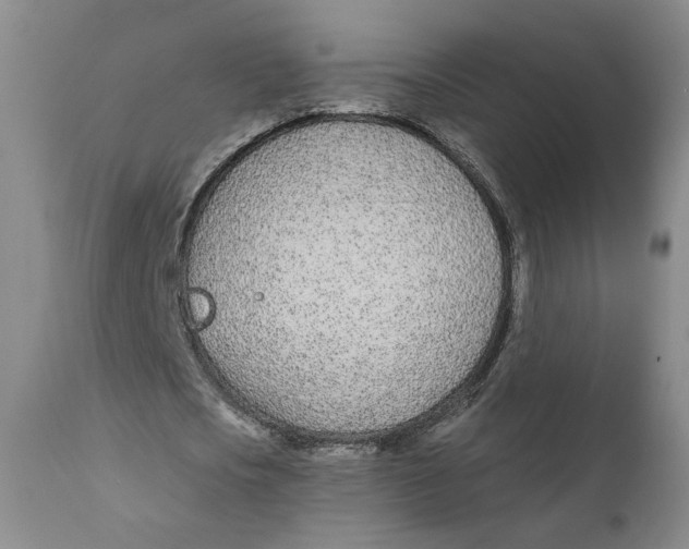 X0000110920721200907091456