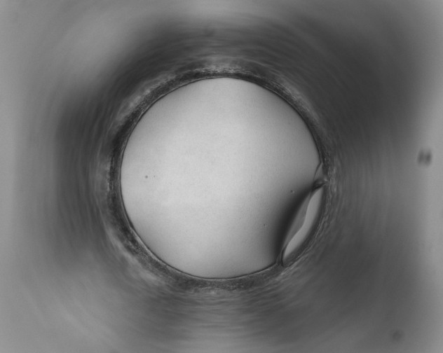 X0000110920722200907091456