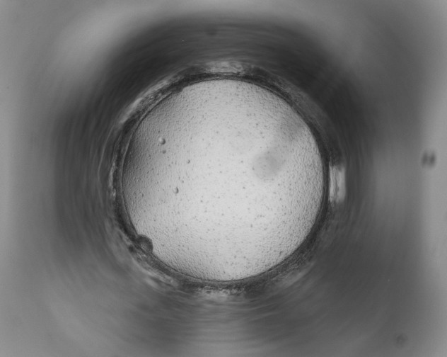X0000110920723200907091456