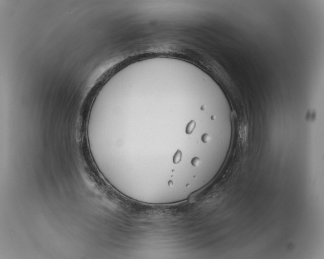 X0000110920724200907091456