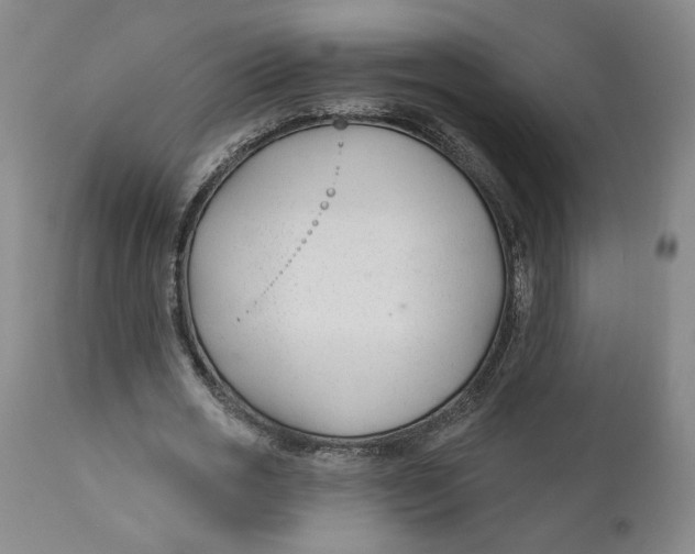 X0000110920725200907091456