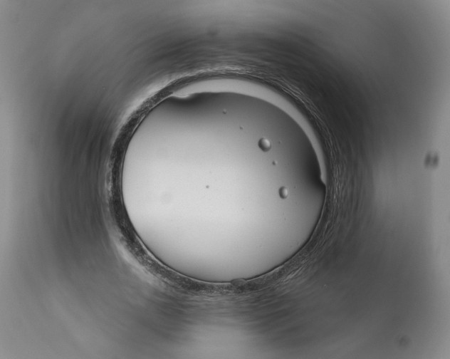 X0000110920726200907091456
