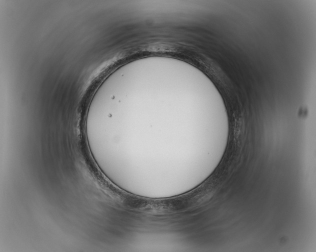 X0000110920727200907091456