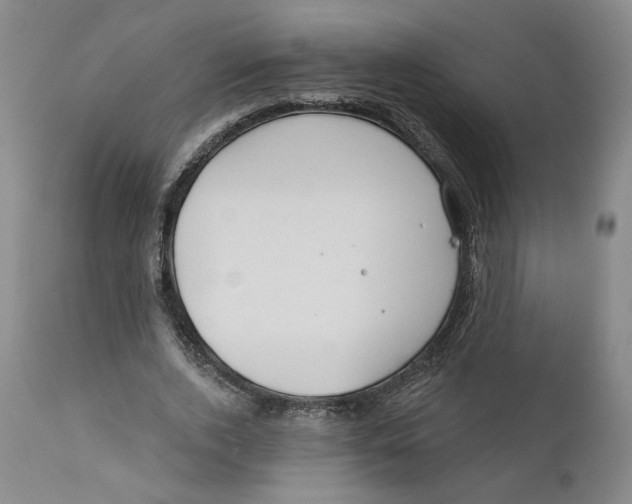 X0000110920728200907091456
