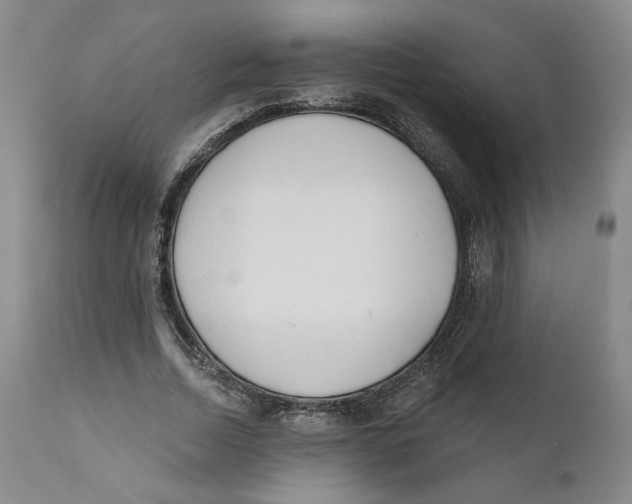 X0000110920730200907091456