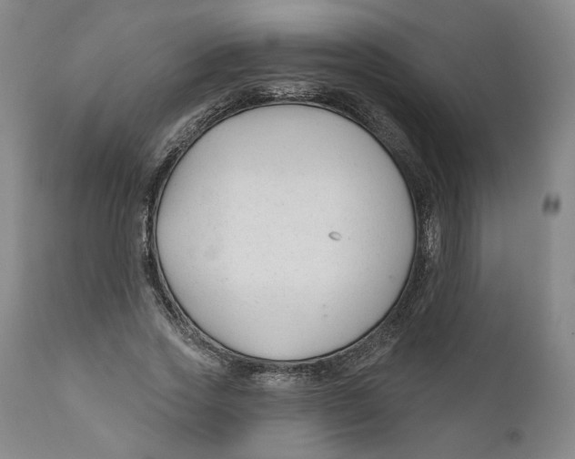 X0000110920733200907091456