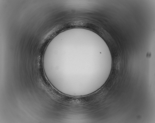 X0000110920735200907091456
