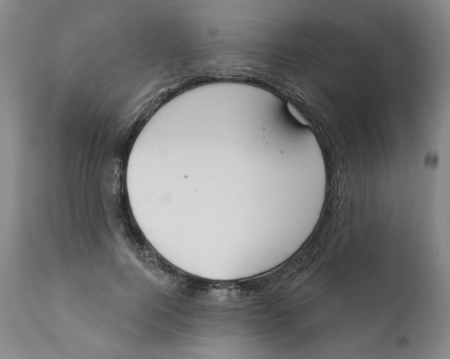 X0000110920744200907091457