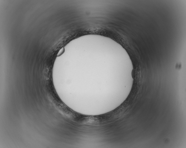 X0000110920750200907091457
