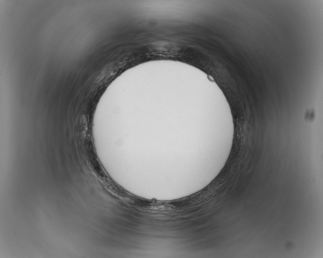 X0000110920752200907091457