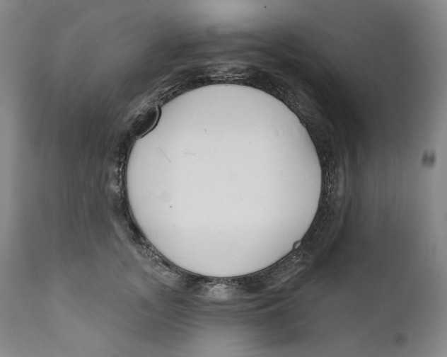X0000110920755200907091457