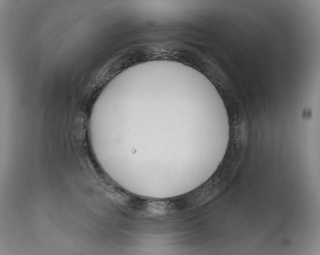 X0000110920757200907091457
