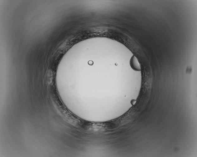 X0000110920758200907091457