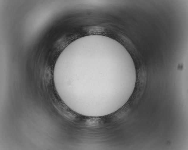 X0000110920761200907091457