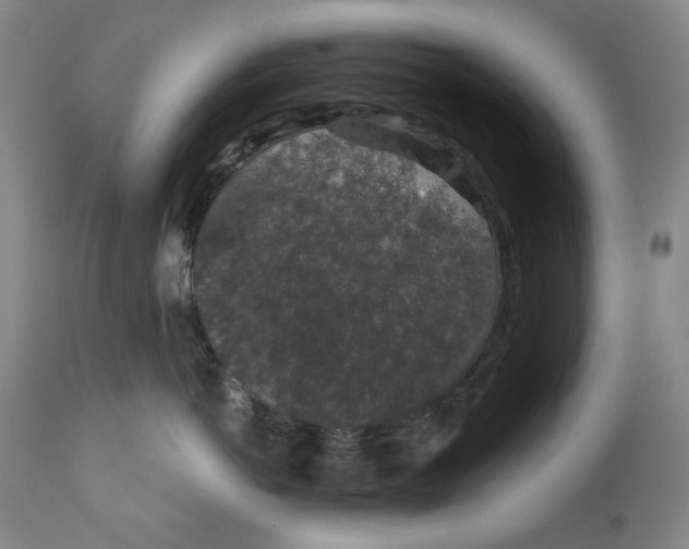 X0000110920766200907091457