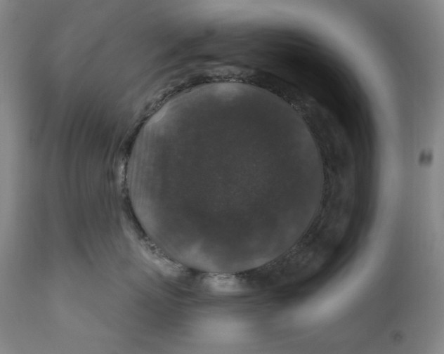 X0000110920767200907091457