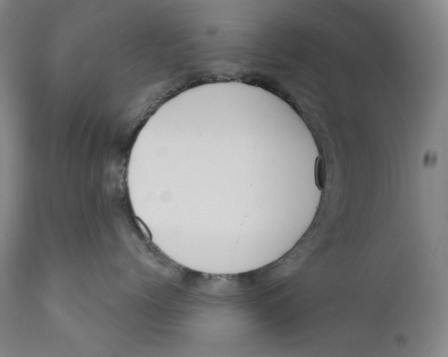 X0000110920768200907091457