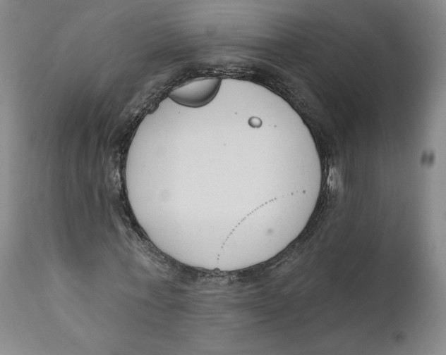 X0000110920771200907091456