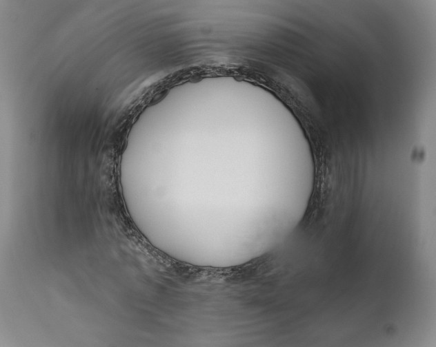 X0000110920773200907091456