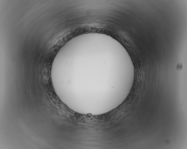 X0000110920774200907091456