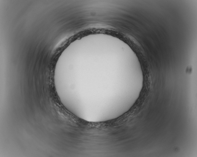X0000110920775200907091456