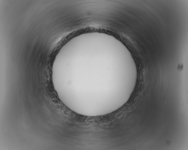 X0000110920776200907091456