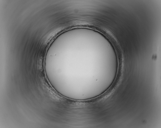 X0000110920777200907091456