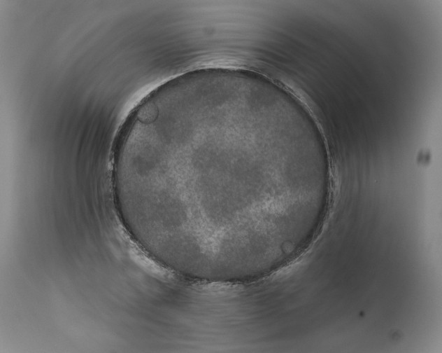 X0000110920779200907091456
